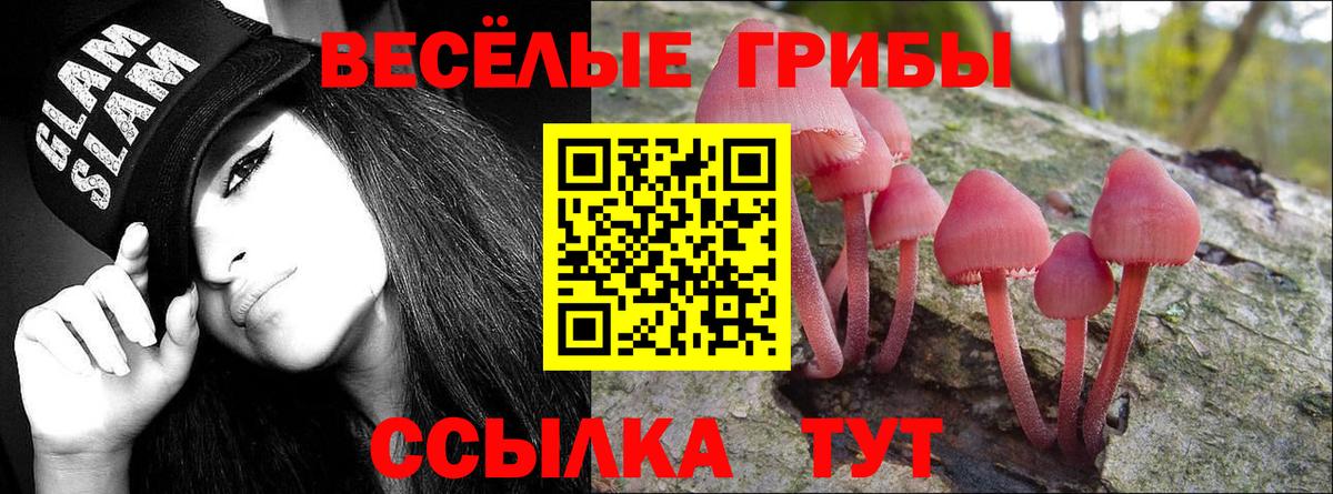 Галлюциногенные грибы мухоморы  Вход с VPN  Галлюциногенные грибы Magic Shrooms  купить наркотик  Кунгур 